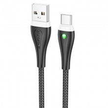 Дата кабель Borofone BX100 Advantage USB to Type-C (1m) - купить на Floy.com.ua