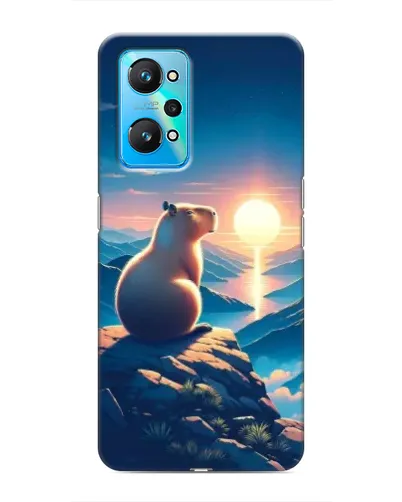 Чехол для Realme GT Neo 2 с картинкой «Закат солнца с капибарой» Чехол для Realme GT Neo 2 с картинкой «Закат солнца с капибарой»