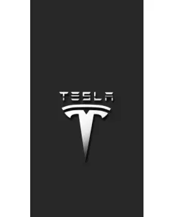 Чохол для Apple iPhone Duo з картинкою «Сталевий логотип Tesla»