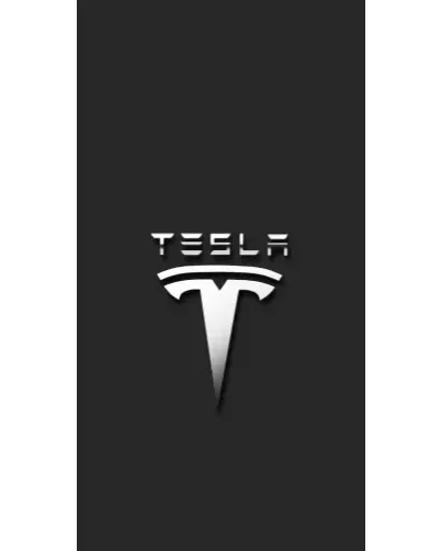 Чехол для Apple iPhone Duo с картинкой «Стальной логотип Tesla»