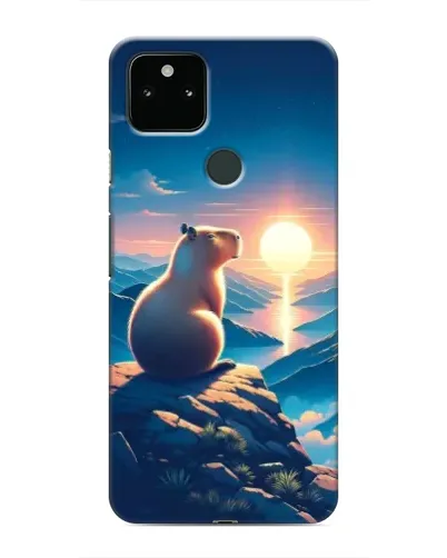 Чохол для Google Pixel 4a 5G з картинкою «Захід сонця з капібарою»