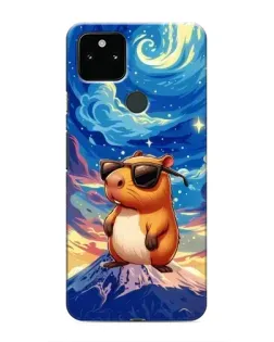 Чохол для Google Pixel 5 з картинкою «Капібара Ван Гога»