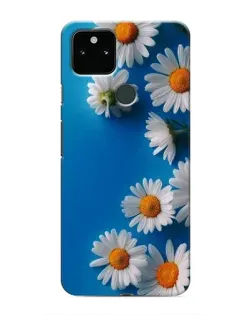 Чохол для Google Pixel 5a 5G з картинкою «Білосніжні маргаритки»
