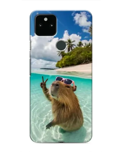 Чохол для Google Pixel 5a 5G з картинкою «Капібара на морі»