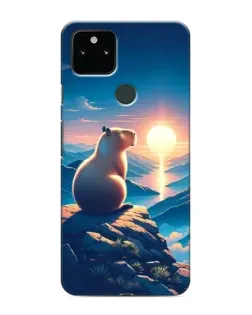 Чохол для Google Pixel 5a 5G з картинкою «Захід сонця з капібарою»