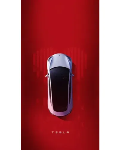 Чехол для Google с картинкой «Tesla Top View» Чехол для Google с картинкой «Tesla Top View»