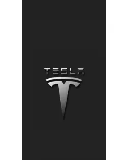 Чехол для Google с картинкой «Стальной логотип Tesla»