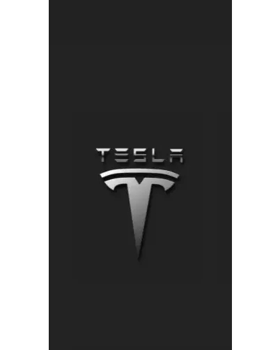 Чехол для Google с картинкой «Стальной логотип Tesla» Чехол для Google с картинкой «Стальной логотип Tesla»