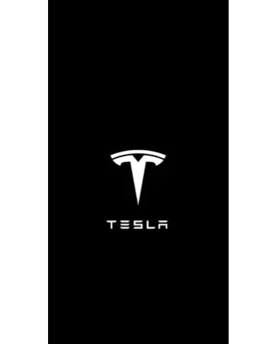 Чехол для Google с картинкой «Tesla White Logo» Чехол для Google с картинкой «Tesla White Logo»
