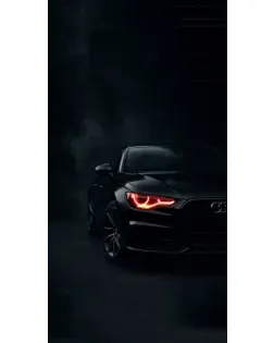 Чехол для HMD с картинкой «Audi — хищный взгляд»