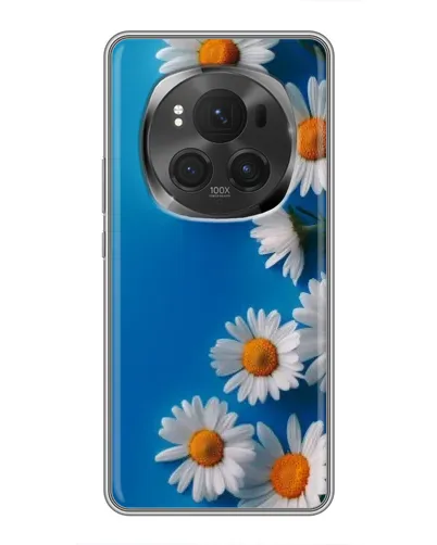 Чехол для Huawei Honor Magic 6 Pro с картинкой «Белоснежные маргаритки»