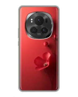 Чехол для Huawei Honor Magic 6 Pro с картинкой «Маковые соцветия»