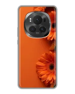 Чехол для Huawei Honor Magic 6 Pro с картинкой «Оранжевые герберы»