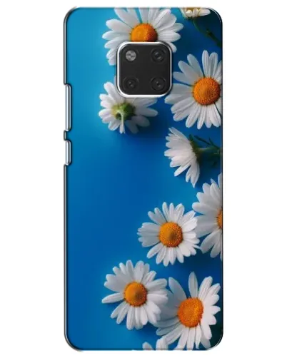 Чохол для Huawei Mate 20 (HMA-L09, HMA-L29) з картинкою «Білосніжні маргаритки»