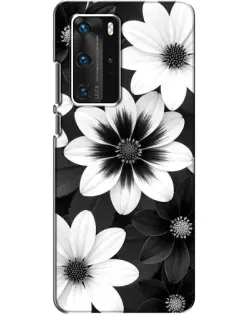 Чохол для Huawei P40 Pro з картинкою «Монохромні айстри»