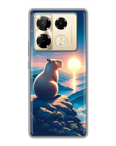 Чохол для Infinix Note 40 Pro з картинкою «Захід сонця з капібарою»