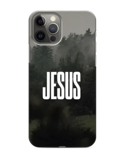 Чехол для iPhone 12 Pro Max с картинкой «Свет в тумане»