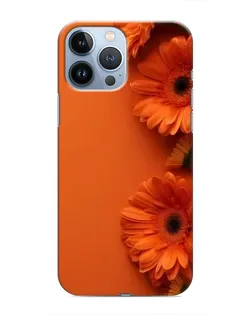 Чохол для iPhone 13 Pro Max з картинкою «Помаранчеві гербери»