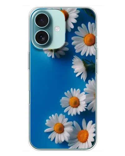 Чохол для iPhone 16 Plus з картинкою «Білосніжні маргаритки»