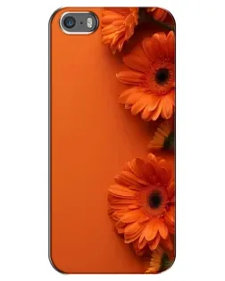 Чохол для iPhone 5 / 5s / SE з картинкою «Помаранчеві гербери»