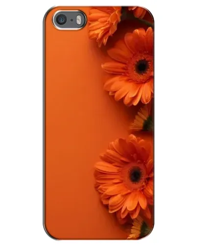 Чохол для iPhone 5 / 5s / SE з картинкою «Помаранчеві гербери» Чохол для iPhone 5 / 5s / SE з картинкою «Помаранчеві гербери»