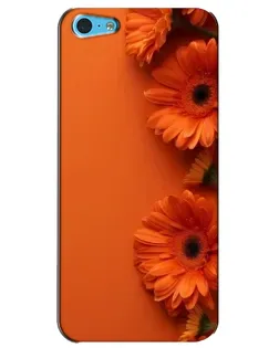 Чохол для iPhone 5c з картинкою «Помаранчеві гербери»