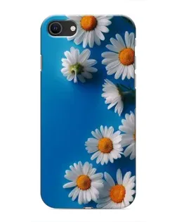 Чохол для iPhone SE (2020) з картинкою «Білосніжні маргаритки»
