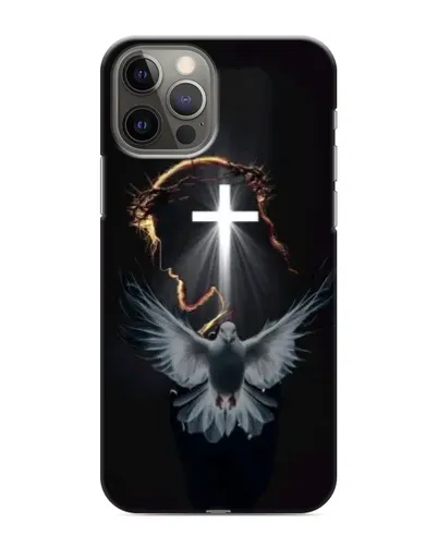 Чохол для iPhone 11 Pro Max з картинкою «Голуб та Світло»