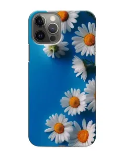 Чохол для iPhone 11 Pro з картинкою «Білосніжні маргаритки»