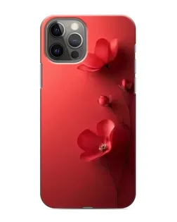 Чохол для iPhone 11 Pro з картинкою «Макові суцвіття»