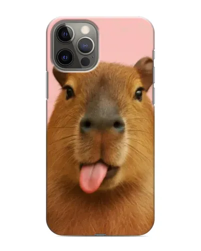 Чехол для iPhone 11 Pro с картинкой «Капибара с языком»
