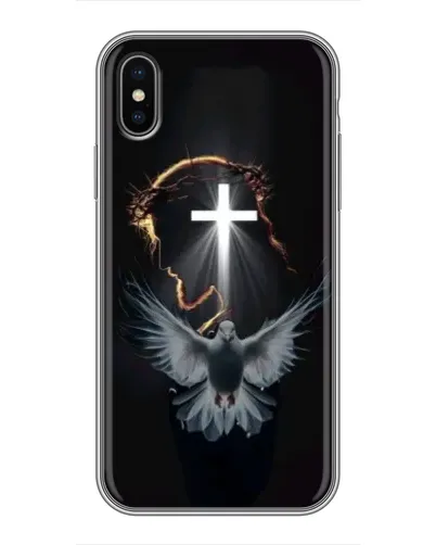 Чехол для iPhone Xs с картинкой «Голубь и Свет»