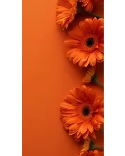 Чехол для Кабели для смартфонов с картинкой «Оранжевые герберы»