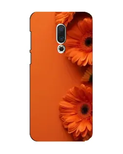 Чохол для Meizu 15 з картинкою «Помаранчеві гербери»
