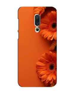 Чохол для Meizu 16 Plus з картинкою «Помаранчеві гербери»