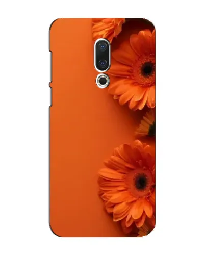 Чохол для Meizu 16 Plus з картинкою «Помаранчеві гербери»