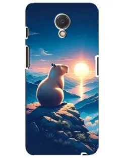 Чехол для Meizu M6s с картинкой «Закат солнца с капибарой»