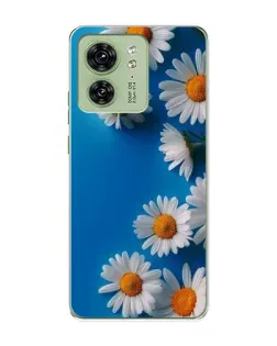 Чехол для Motorola Edge 40 с картинкой «Белоснежные маргаритки»