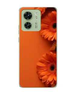 Чехол для Motorola Edge 40 с картинкой «Оранжевые герберы»