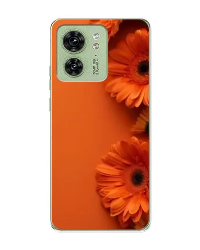 Чехол для Motorola Edge 40 с картинкой «Оранжевые герберы»