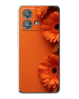 Чехол для Motorola Edge 40 Neo с картинкой «Оранжевые герберы»