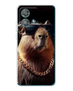 Чехол для Motorola Edge 40 Neo с картинкой «Капибара золотая цепь»