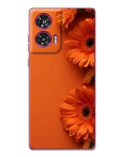 Чехол для Motorola Edge 50 Fusion с картинкой «Оранжевые герберы» Чехол для Motorola Edge 50 Fusion с картинкой «Оранжевые герберы»