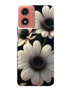 Чехол для Motorola MOTO G04 с картинкой «Белые маргаритки макро»