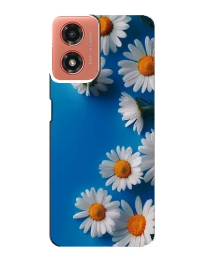 Чехол для Motorola MOTO G04 с картинкой «Белоснежные маргаритки»