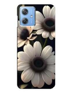 Чехол для Motorola MOTO G54 / G54 Power с картинкой «Белые маргаритки макро» Чехол для Motorola MOTO G54 / G54 Power с картинкой «Белые маргаритки макро»