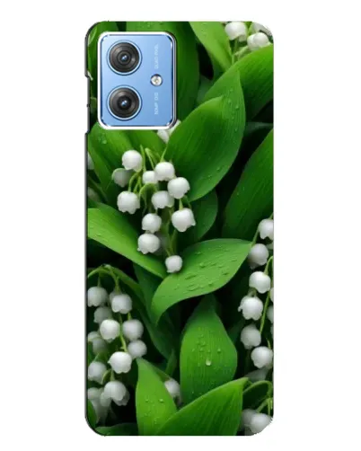 Чехол для Motorola MOTO G54 / G54 Power с картинкой «Ландыши в зелени» Чехол для Motorola MOTO G54 / G54 Power с картинкой «Ландыши в зелени»