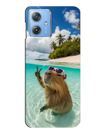 Чехол для Motorola MOTO G54 / G54 Power с картинкой «Капибара на море» Чехол для Motorola MOTO G54 / G54 Power с картинкой «Капибара на море»