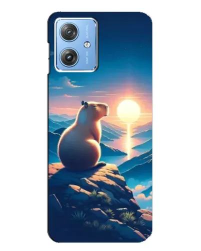 Чехол для Motorola MOTO G54 / G54 Power с картинкой «Закат солнца с капибарой» Чехол для Motorola MOTO G54 / G54 Power с картинкой «Закат солнца с капибарой»
