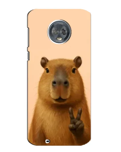 Чехол для Motorola MOTO G6 с картинкой «Капибара виктория»